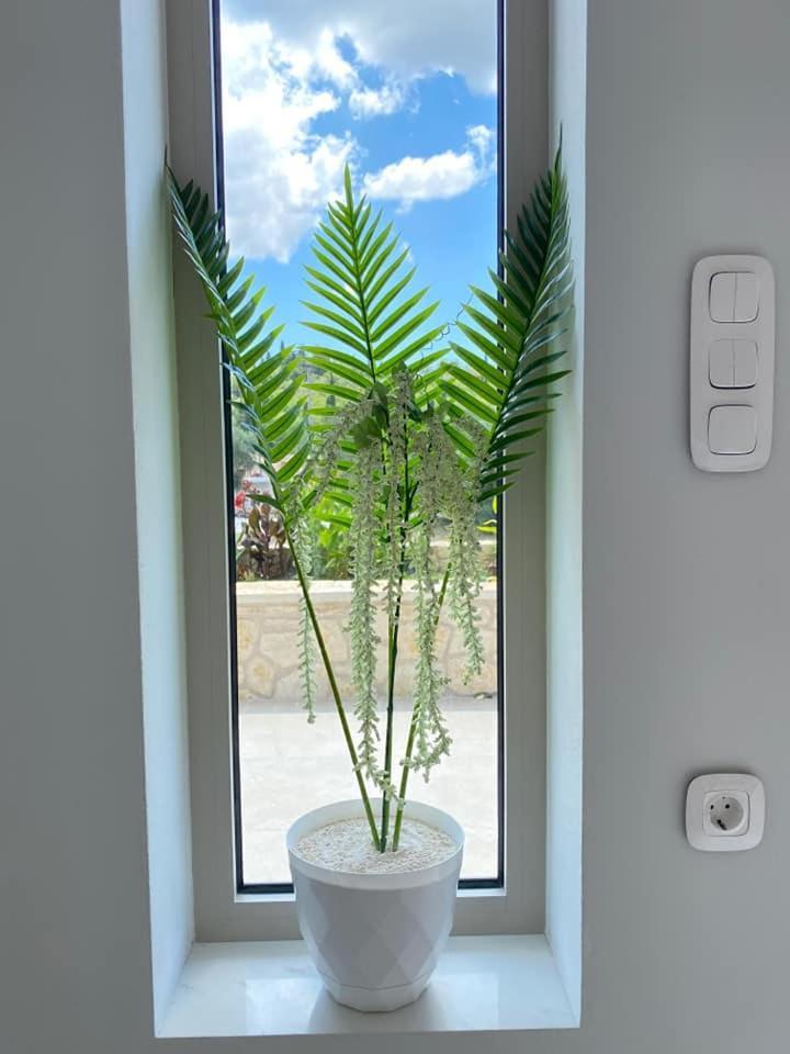 Appartamento Grey Luxury House Ipsos Esterno foto
